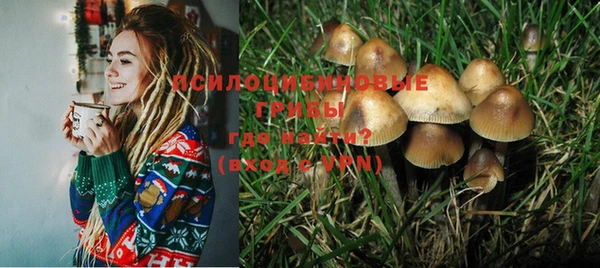 прущая мука Белокуриха